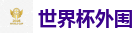 2026美加墨世界杯官网投注平台